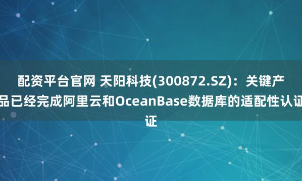 配资平台官网 天阳科技(300872.SZ)：关键产品已经完成阿里云和OceanBase数据库的适配性认证