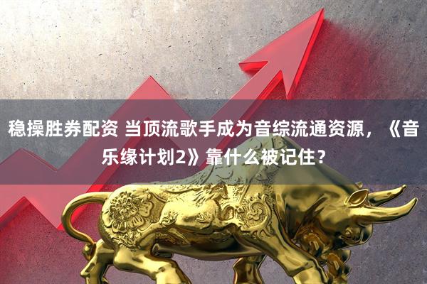 稳操胜券配资 当顶流歌手成为音综流通资源，《音乐缘计划2》靠什么被记住？